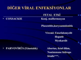 DİĞER VİRAL ENFEKSİYONLAR
                             FETAL ETKİ
• COXSACKIE                 Konj. malformasyon

                            Plasentitis,koryoamnionitis

                               Viremi: Ensefalomyelit
                                       Hepatit
                                       Myokardit

• PARVOVİRÜS (5.hastalık)       Abortus, fetal ölüm,
                                Nonimmune hidrops
                                fetalis***.             30
 