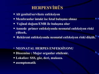 HERPESVİRÜS
• Alt genital/servikste enfeksiyon
• Membranlar intakt ise fetal bulaşma olmaz
• Vajinal doğum/EMR ile bulaşma olur
• Annede primer enfeksiyonda neonatal enfeksiyon riski
  yüksek,
• Rekürent enfeksiyonda neonatal enfeksiyon riski düşük.


• NEONATAL HERPES ENFEKSİYONU
• Dissemine : Major organlar etkilenir.
• Lokalize: SSS, göz, deri, mukoza.
• asemptomatik
                                                   31
 