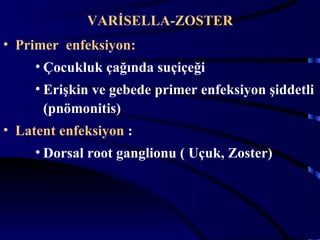 VARİSELLA-ZOSTER
• Primer enfeksiyon:
     • Çocukluk çağında suçiçeği
     • Erişkin ve gebede primer enfeksiyon şiddetli
       (pnömonitis)
• Latent enfeksiyon :
     • Dorsal root ganglionu ( Uçuk, Zoster)



                                               6
 