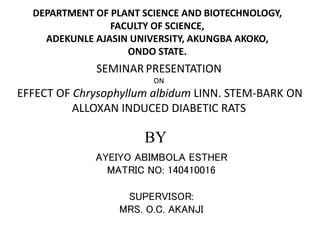 SEMINAR PRESENTATION
ON
EFFECT OF Chrysophyllum albidum LINN. STEM-BARK ON
ALLOXAN INDUCED DIABETIC RATS
BY
AYEIYO ABIMBOLA ESTHER
MATRIC NO: 140410016
SUPERVISOR:
MRS. O.C. AKANJI
DEPARTMENT OF PLANT SCIENCE AND BIOTECHNOLOGY,
FACULTY OF SCIENCE,
ADEKUNLE AJASIN UNIVERSITY, AKUNGBA AKOKO,
ONDO STATE.
 