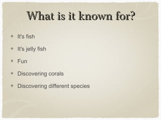 What is it known for?
It's fish
It's jelly fish
Fun
Discovering corals
Discovering different species

 
