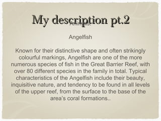 My description pt.2
Animals:
Angelfish
Known for their distinctive shape and often strikingly
colourful markings, Angelfish are one of the more
numerous species of fish in the Great Barrier Reef, with
over 80 different species in the family in total. Typical
characteristics of the Angelfish include their beauty,
inquisitive nature, and tendency to be found in all levels
of the upper reef, from the surface to the base of the
area’s coral formations..

 