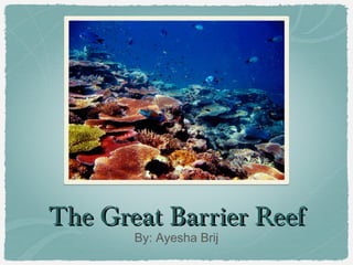 The Great Barrier Reef
By: Ayesha Brij

 
