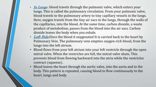 • In Lungs : blood travels through the pulmonic valve, which enters your
lungs. This is called the pulmonary circulation. From your pulmonic valve,
blood travels to the pulmonary artery to tiny capillary vessels in the lungs.
Here, oxygen travels from the tiny air sacs in the lungs, through the walls of
the capillaries, into the blood. At the same time, carbon dioxide, a waste
product of metabolism, passes from the blood into the air sacs. Carbon
dioxide leaves the body when you exhale.
• Left Side:Once the blood it oxygenated It is carried back to the heart by
Pulmonary Vein. The pulmonary vein empties oxygen-rich blood, from the
lungs into the left atrium.
• Blood flows from your left atrium into your left ventricle through the open
mitral valve. When the ventricles are full, the mitral valve shuts. This
prevents blood from flowing backward into the atria while the ventricles
contract (squeeze).
• Blood leaves the heart through the aortic valve, into the aorta and to the
body. This pattern is repeated, causing blood to flow continuously to the
heart, lungs and body.
 