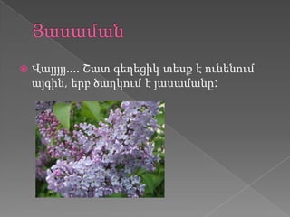    Վայյյյյ.... Շատ գեղեցիկ տեսք է ունենում
    այգին, երբ ծաղկում է յասամանը:
 