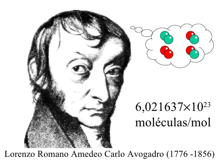 Lorenzo avogadro biography Lorenzo avogadro biography