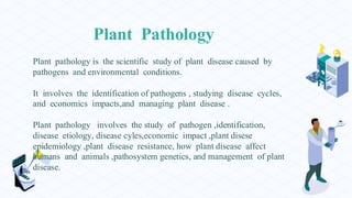 Plant Pathology
Plant pathology is the scientific study of plant disease caused by
pathogens and environmental conditions.
It involves the identification of pathogens , studying disease cycles,
and economics impacts,and managing plant disease .
Plant pathology involves the study of pathogen ,identification,
disease etiology, disease cyles,economic impact ,plant disese
epidemiology ,plant disease resistance, how plant disease affect
humans and animals ,pathosystem genetics, and management of plant
disease.
 