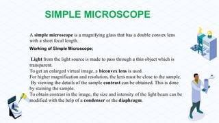 A simple microscope is a magnifying glass that has a double convex lens
with a short focal length.
Working of Simple Microscope;
Light from the light source is made to pass through a thin object which is
transparent.
To get an enlarged virtual image, a biconvex lens is used.
For higher magnification and resolution, the lens must be close to the sample.
By viewing the details of the sample contrast can be obtained. This is done
by staining the sample.
To obtain contrast in the image, the size and intensity of the light beam can be
modified with the help of a condenser or the diaphragm.
SIMPLE MICROSCOPE
 