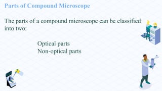 Parts of Compound Microscope
The parts of a compound microscope can be classified
into two:
Optical parts
Non-optical parts
 
