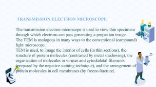 TRANSMISSION ELECTRON MICROSCOPE
The transmission electron microscope is used to view thin specimens
through which electrons can pass generating a projection image.
The TEM is analogous in many ways to the conventional (compound)
light microscope.
TEM is used, to image the interior of cells (in thin sections), the
structure of protein molecules (contrasted by metal shadowing), the
organization of molecules in viruses and cytoskeletal filaments
(prepared by the negative staining technique), and the arrangement of
protein molecules in cell membranes (by freeze-fracture).
 