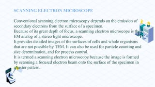 SCANNING ELECTRON MICROSCOPE
Conventional scanning electron microscopy depends on the emission of
secondary electrons from the surface of a specimen.
Because of its great depth of focus, a scanning electron microscope is the
EM analog of a stereo light microscope.
It provides detailed images of the surfaces of cells and whole organisms
that are not possible by TEM. It can also be used for particle counting and
size determination, and for process control.
It is termed a scanning electron microscope because the image is formed
by scanning a focused electron beam onto the surface of the specimen in
a raster pattern.
 