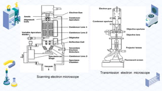 Scanning electron microscope
Transmission electron microscope
 