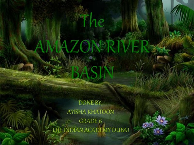 Ppt On Amazon River Bazin Ppt On Amazon River Bazin
