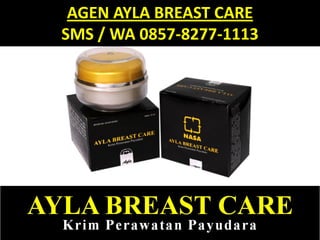 AGEN AYLA BREAST CARE
SMS / WA 0857-8277-1113
 