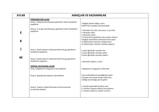 AYLAR                                                          AMAÇLAR VE KAZANIMLAR
        PSİKOMOTOR ALAN
        Amaç 1. Bedensel koordinasyon gerektiren belirli hareketleri
        yapabilme                                                        3.Değişik yönlere doğru uzanır.
                                                                         6.Belirli bir mesafeyi sürünerek gider.
        Amaç 2. El ve göz koordinasyonu gerektiren belirli hareketleri
        yapabilme                                                        3. Nesneleri üst üste / yan yana / iç içe dizer.
  E                                                                      4. Nesneleri takar.
                                                                         5. Nesneleri çıkarır.
                                                                         7.El becerilerini gerektiren bazı araçları kullanır.
                                                                         9.Değişik malzemeler kullanarak resim yapar.
 K                                                                       13.Malzemeleri istenilen nitelikte keser
                                                                         14. Malzemeleri istenilen nitelikte yapıştırır.

  İ     Amaç 3. Büyük kaslarını kullanarak belirli bir güç gerektiren    1.Farklı ağırlıktaki nesneleri iter.
        hareketleri yapabilme                                            2.Farklı ağırlıktaki nesneleri çeker.
                                                                         3.Farklı ağırlıktaki nesneleri kaldırır
 M      Amaç 4. Küçük kaslarını kullanarak belirli bir güç gerektiren
        hareketleri yapabilme                                            1.Nesneleri kopartır / yırtar

        SOSYAL-DUYGUSAL ALAN
        Amaç 5.Başkalarının duygularını fark edebilme                    1.Başkalarının duygularını ifade eder.


        Amaç 6. Başkalarıyla ilişkilerini yönetebilme                    2.Grup etkinliklerine kendiliğinden katılır.
                                                                         3.Grupta sorumluluk almaya istekli olur.
                                                                         4.Aldığı sorumluluğu yerine getirir.


        Amaç 9. Yaşamın iyileştirilmesinde ve korunmasında               2. Günlük yaşamdaki kurallara uyar.
        sorumluluk alabilme                                              3. Canlıların yaşama hakkına özen gösterir.
                                                                         4. Canlıların bakımını üstlenir ve korur.
 