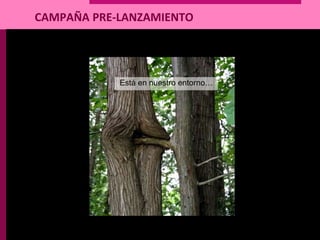 CAMPAÑA PRE-LANZAMIENTO
Está en nuestro entorno…
 