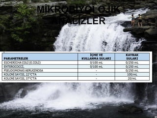 MİKROBİYOLOJİK 
ANALİZLER 
 