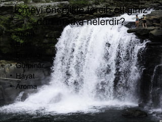İçmeyi öncelikle tercih ettiğiniz 
dört marka nelerdir? 
• Abant 
• Erikli 
• Buzdağı 
• Gürpınar 
• Hayat 
• Aroma 
 