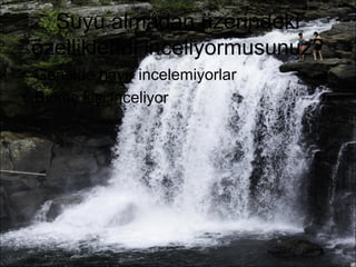 Suyu almadan üzerindeki 
özelliklerini inceliyormusunuz? 
• Genelde hayır incelemiyorlar 
• Birkaç kişi inceliyor 
 