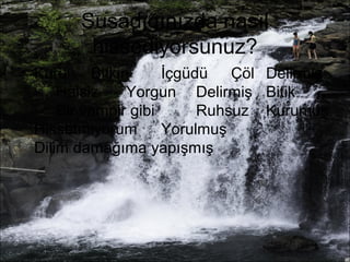 Susadığınızda nasıl 
hissediyorsunuz? 
• Kuru Bitkin İçgüdü Çöl Delirmiş 
Halsiz Yorgun Delirmiş Bitik 
Bir vampir gibi Ruhsuz Kurumuş 
Hissetmiyorum Yorulmuş 
Dilim damağıma yapışmış 
 