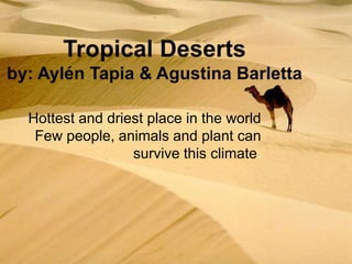 Hottest and driest place in the world
Few people, animals and plant can
survive this climate.
 