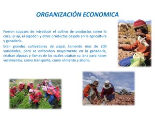 ORGANIZACIÓN ECONOMICA
Fueron capases de introducir el cultivo de productos como la
coca, el ají, el algodón y otros productos basada en la agricultura
y ganadería.
Eran grandes cultivadores de papas teniendo mas de 200
variedades, pero se enfocaban mayormente en la ganadería,
criaban alpacas y llamas de las cuales usaban su lana para hacer
vestimentas, como transporte, como alimento y abono.
 