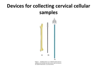 Devices for collecting cervical cellular
samples
 