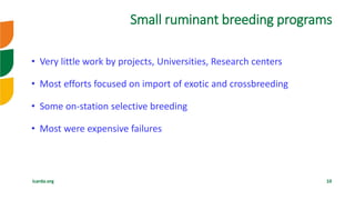 Genetic improvement of small ruminants in Ethiopia have failed and need re-think