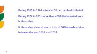 Genetic improvement of small ruminants in Ethiopia have failed and need re-think