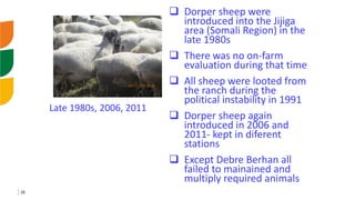 Genetic improvement of small ruminants in Ethiopia have failed and need re-think