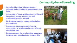 Genetic improvement of small ruminants in Ethiopia have failed and need re-think
