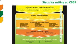 Genetic improvement of small ruminants in Ethiopia have failed and need re-think