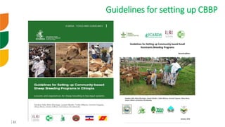 Genetic improvement of small ruminants in Ethiopia have failed and need re-think