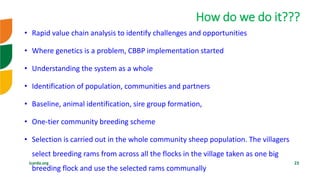 Genetic improvement of small ruminants in Ethiopia have failed and need re-think