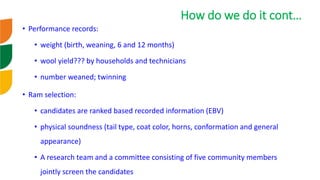 Genetic improvement of small ruminants in Ethiopia have failed and need re-think