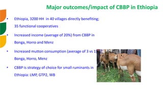 Genetic improvement of small ruminants in Ethiopia have failed and need re-think