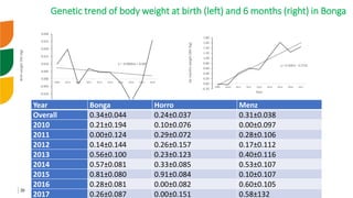 Genetic improvement of small ruminants in Ethiopia have failed and need re-think