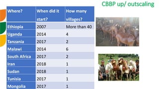 Genetic improvement of small ruminants in Ethiopia have failed and need re-think