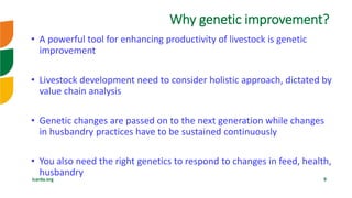 Genetic improvement of small ruminants in Ethiopia have failed and need re-think