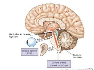 photo credit: http://www.ﬂickr.com/photos/zillafag
 