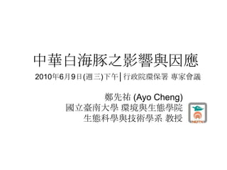 A׺֮Ӱc
201069(L)穦Ժh ҕh

        ȵv (Ayo Cheng)
    _ϴW hcBWԺ
      BƌWcgWϵ 
 