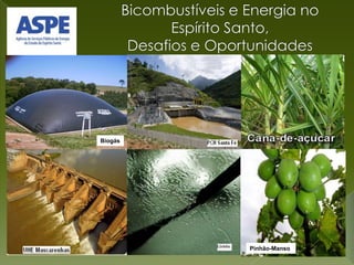 Bicombustíveis e Energia no Espírito Santo,Desafios e Oportunidades Biogás Pinhão-Manso 