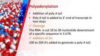 Differential rna processing | PPTX