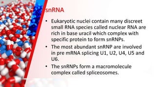 Snrp Differential rna processing | PPTX