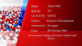 Name: Aysha Tahir
Roll No: 871
Uni Roll No: 023822
Subject: Analysis of development
submitted to: Dr saghir
Class: BS Zoology (6th)
Government college of science whadt road
lahore
 
