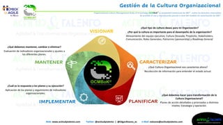 Proyectos, Gestión del Cambio y Cultura Organizacional | PDF