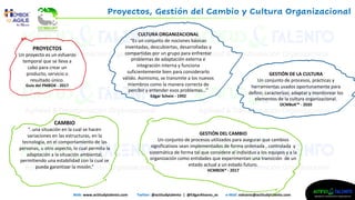 Proyectos, Gestión del Cambio y Cultura Organizacional | PDF