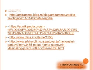  - http://amlramzes.blog.rs/blog/amlramzes/zastita-
zivotinja/2011/11/03/patka-njorka
 - https://sr.wikipedia.org/sr-
el/%D0%9F%D0%B0%D1%82%D0%BA%D0%B0_
%D1%9A%D0%BE%D1%80%D0%BA%D0%B0
 - http://www.ptice.info/teme/1180/
 - http://www.srbijuvolimo.rs/putovanja/nacionalni-
parkovi/item/3455-patka-njorka-stanovnik-
vlasinskog-jezera,retka-vrsta-u-srbiji.html
Сузана Скакавац IV2
 