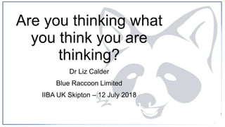 Dr Liz Calder
Blue Raccoon Limited
IIBA UK Skipton – 12 July 2018
Are you thinking what
you think you are
thinking?
 