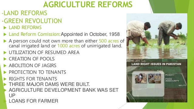 the green revolution and land reforms Green revolution in india and its significance in economic development: implications for sub green revolution given to institutional reforms such as the land. the green revolution and land reforms Green revolution in india and its significance in economic development: implications for sub green revolution given to institutional reforms such as the land.
